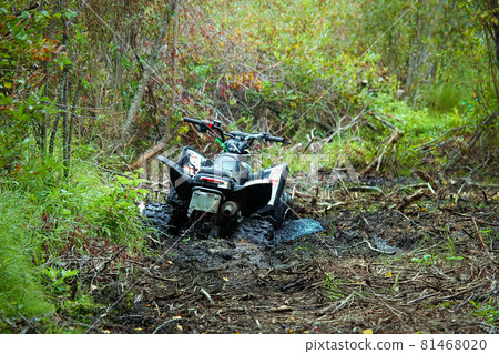 View of a quad stuck in the mud 81468020