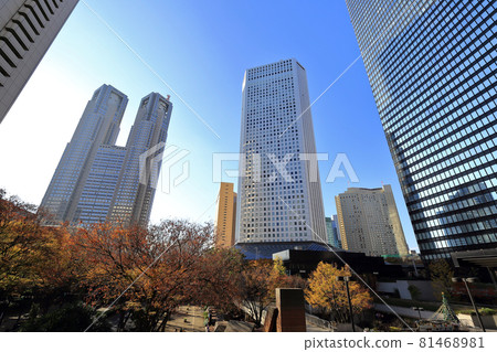 Cityscape of Nishi-Shinjuku, Tokyo Skyscrapers and autumn leaves Cityscape of Nishi-Shinjuku, Tokyo Skyscrapers and autumn leaves 81468981