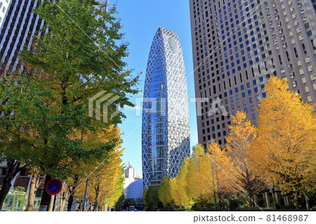 Cityscape of Nishi-Shinjuku, Tokyo Skyscrapers and autumn leaves 81468987