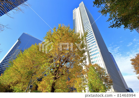 Cityscape of Nishi-Shinjuku, Tokyo Skyscrapers and autumn leaves Cityscape of Nishi-Shinjuku, Tokyo Skyscrapers and autumn leaves 81468994