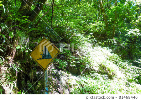 "Caution for falling rocks" sign on the mountain trail "Caution for falling rocks" sign on the mountain trail 81469446