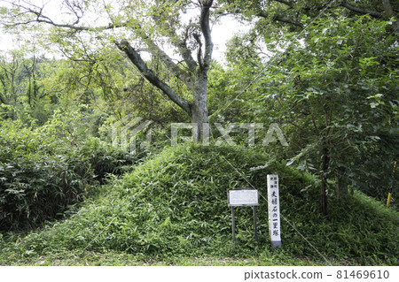 奧州海道 Meotoish Ichirizuka（那須町） 81469610