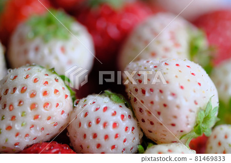 Cute white strawberry up Cute white strawberry up 81469833