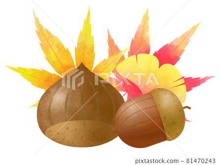 秋、栗、橡子和彩葉水彩風格 秋、栗、橡子和彩葉水彩風格 81470243