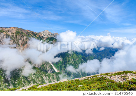 夏季唐松岳登山:從山路向白馬三山方向眺望 夏季唐松岳登山:從山路向白馬三山方向眺望 81470540