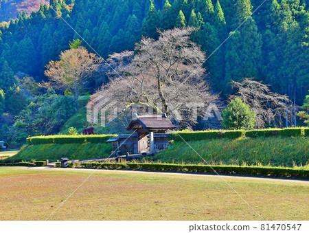 Ichijodani Asakura Clan Ruins 81470547