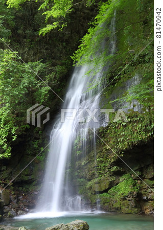 Iya的琵琶瀑布 81470942