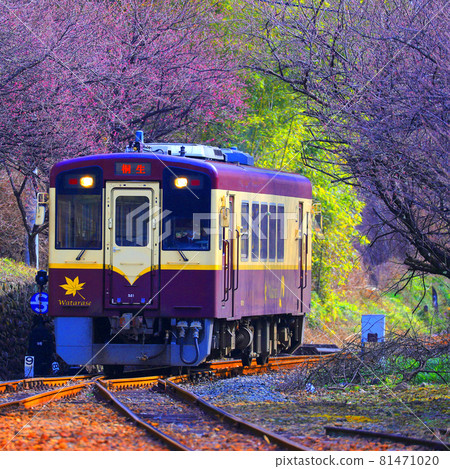 Local Line Spring 81471020