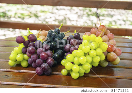 Shine Muscat grapes grapes 81471321