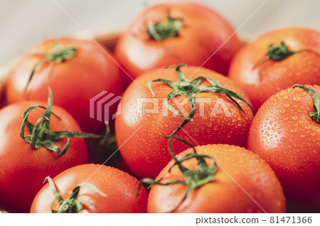 Tomato Tomato 81471366