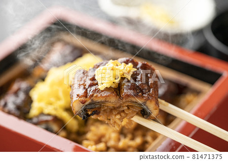 Eel Shige Unagi 鰻魚鰻魚 81471375
