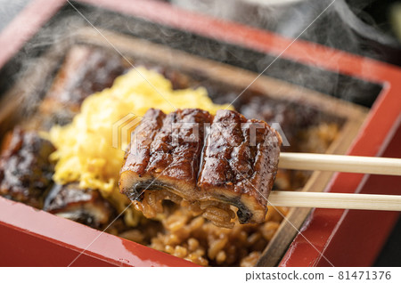 Eel Shige Unagi 鰻魚鰻魚 81471376