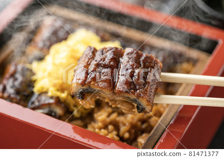 Eel Shige Unagi 鰻魚鰻魚 81471377