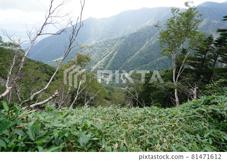 群馬縣 櫪木縣 縣界 群馬 100 名山 Onsengatake 山路到湯本方向 國道 120 號 81471612