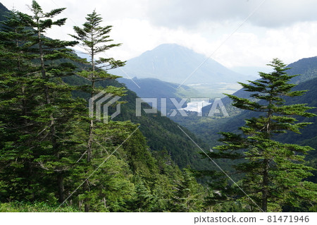 群馬縣櫪木縣界線 從近江東下望湯本 81471946