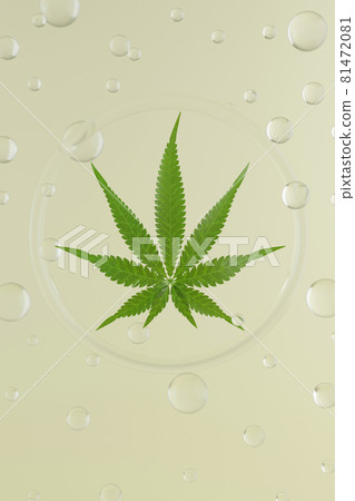Green hemp leaves on beige background. 3d render texture. Round glass background with glass balls. 81472081