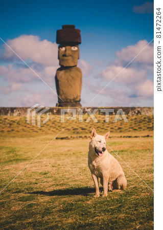 Moai at Ahu Tongariki, Easter island, Chile. Moai at Ahu Tongariki, Easter island, Chile. 81472264