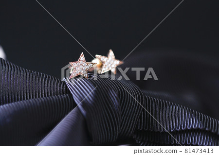 耳環 耳環 81473413