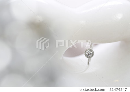 耳環 81474247