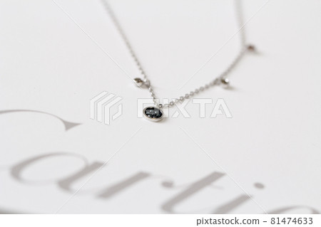 項鍊 81474633