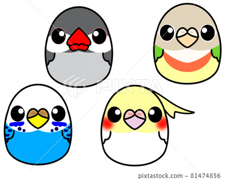 Egg bird 81474856