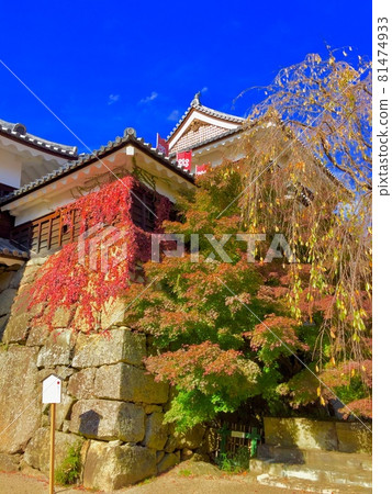 上田城的秋天 81474933