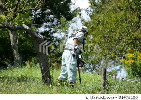 工作, 割草, 割草, 體力工作, 土木工程, 工作, 草, 護理, 工作, 工人, 草坪 81475100