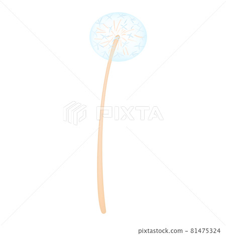 Dandelion fluff (vector illustration of flowers) 81475324