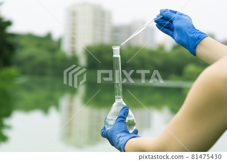 Sampling from open water. A scientist or biologist takes a sample of water from a city reservoir. A sample of water in a round chemical flask with a pipette 81475430