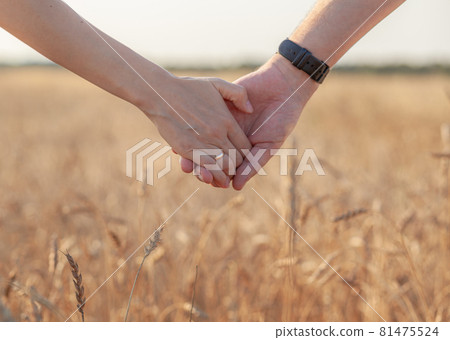 Love concept. A couple holding hand during sunset, a symbol of love and happy relationship. A young couple in love walks through a Wheat field at sunset, holding hands and looking at the sunset 81475524