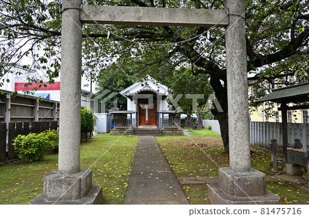Noda City Walk: Suga Shrine Noda City Walk: Suga Shrine 81475716