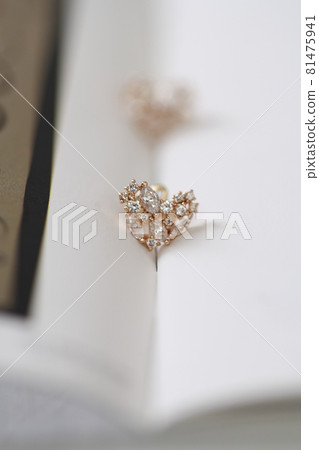 環 環 81475941