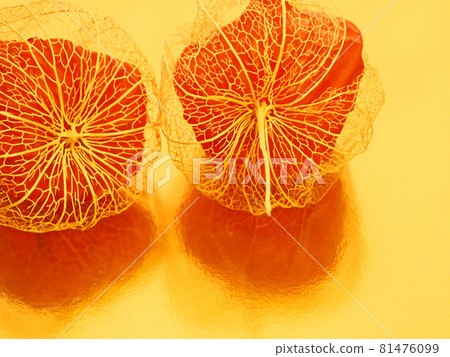 With red physalis and openwork physalis golden back 81476099