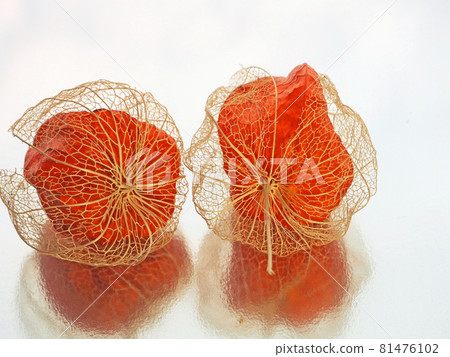 With red physalis and openwork physalis silver back With red physalis and openwork physalis silver back 81476102