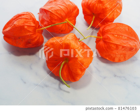 Red physalis fruit for the tray Red physalis fruit for the tray 81476103