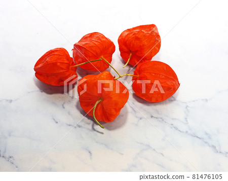 紅色酸漿果作為托盤中的佛花 81476105