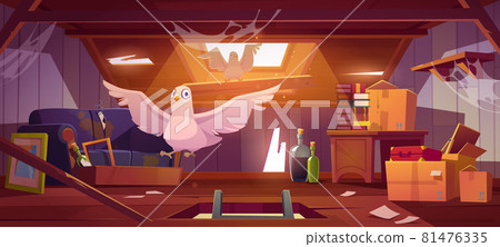 Doves in abandoned attic with old things, ladder 81476335