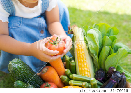 Vegetables at hand for children 81476616