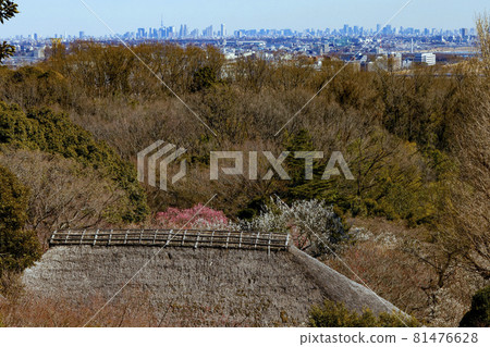 [東京] 從茂草園展望台眺望 81476628