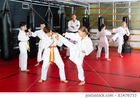 Children working in pair mastering new karate moves during group class Children working in pair mastering new karate moves during group class 81476733