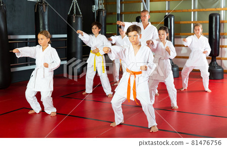 Schoolchilds practicing new technique in karate class Schoolchilds practicing new technique in karate class 81476756