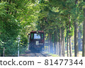 森林中的鐵路 81477344