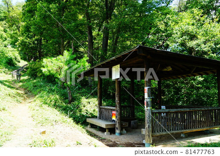 Tochigi Taiheiyama Hiking Course Sakuratoge Higashiya 81477763