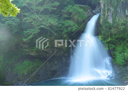 Kawazu Nanakida Kawazu Nanakida 81477922