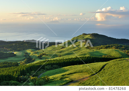 Hosono Plateau 81478268