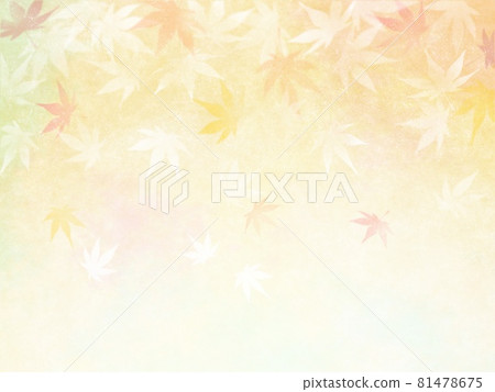 Autumn material: Fantastic maple background 81478675