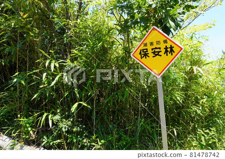 Signboard of tide damage defense protection forest (summer) 81478742