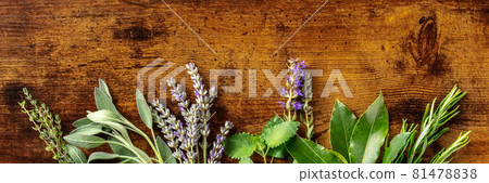 Aromatic herbs panoramic banner with copy space, shot from the top Aromatic herbs panoramic banner with copy space, shot from the top 81478838