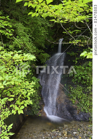 Renhachi Waterfall Tour (Gonotaki) Baifu Waterfall (Matsusaka City, Mie Prefecture) Renhachi Waterfall Tour (Gonotaki) Baifu Waterfall (Matsusaka City, Mie Prefecture) 81478883