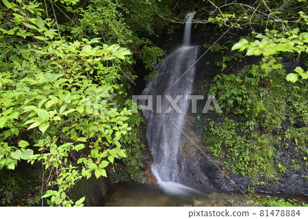 Renhachi Waterfall Tour (Gonotaki) Baifu Waterfall (Matsusaka City, Mie Prefecture) Renhachi Waterfall Tour (Gonotaki) Baifu Waterfall (Matsusaka City, Mie Prefecture) 81478884